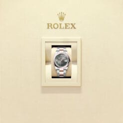 Rolex 126201-0030 Datejust 36mm Stainless Steel - Everose Gold Oyster Slate - Roman Dial Watch 5 Rolex 126201-0030 Datejust 36mm Stainless Steel - Everose Gold Oyster Slate - Roman Dial Watch - Image 2