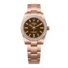 Rolex 124245RBR-0001 Oyster Perpetual 34mm Everose Gold Diamond Brown Stone Watch 1 Rolex 124245RBR-0001 Oyster Perpetual 34mm Everose Gold Diamond Brown Stone Watch